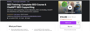 SEO Training: Complete SEO Course & ChatGPT SEO Copywriting